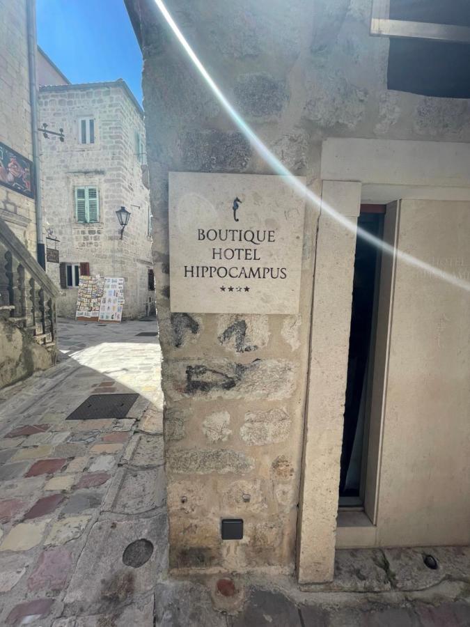 Boutique Hotel Hippocampus Kotor Bagian luar foto